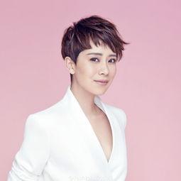 说娱乐圈的明星