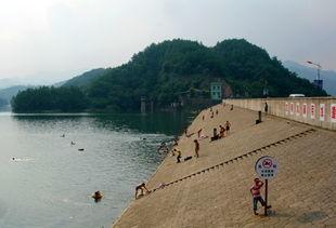 陈德军个人资料